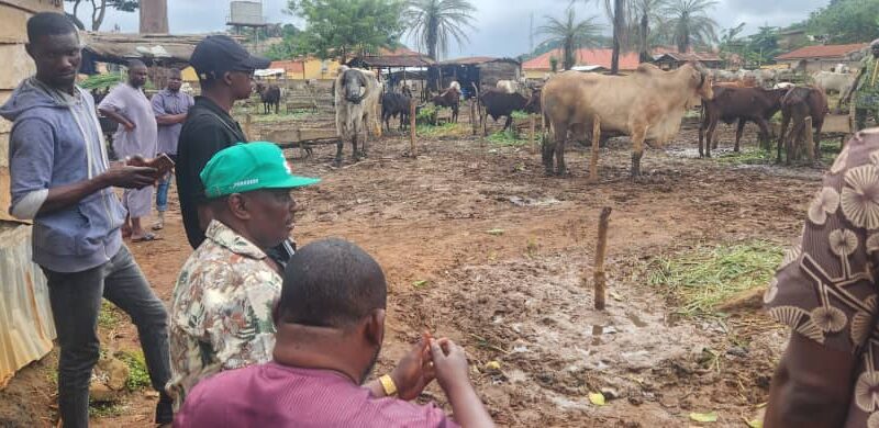 Hausa Community in Akure Pleads with SDP Candidate for Urgent Road Repairs